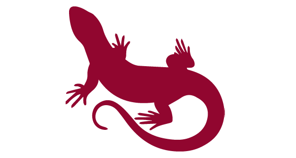 reptile icon