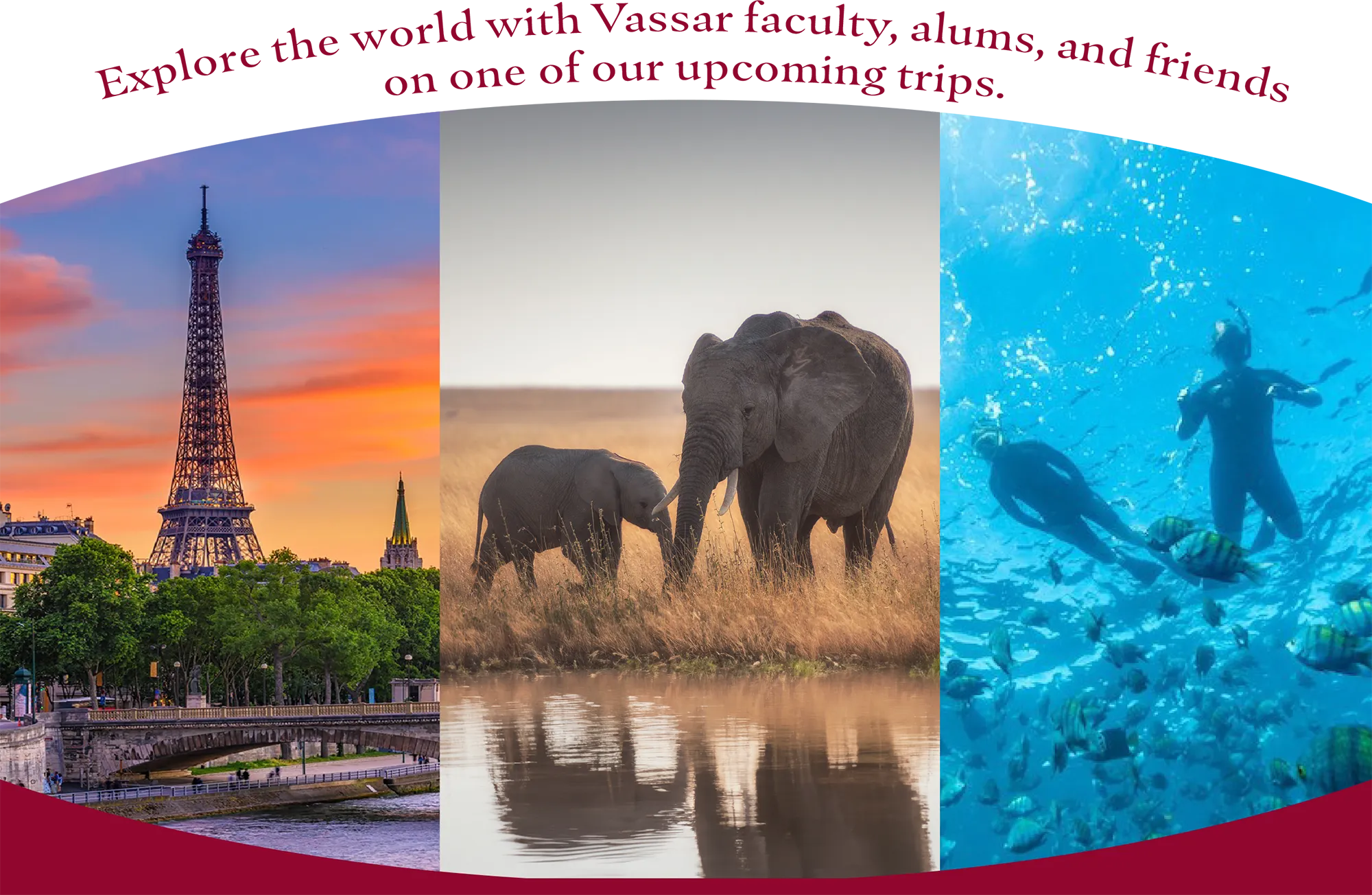 Collage of pictures from travels across the world from the eifel tower, Elephants and snorkeling