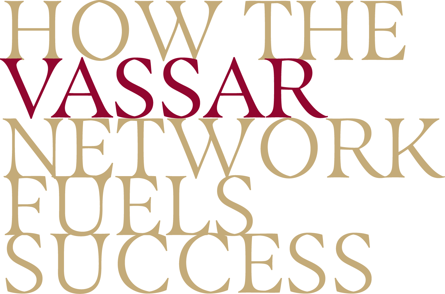 How Vassar Network Fuels Success typography