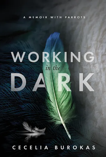 Working in the Dark Book Cover