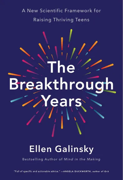 The Breakthrough years Book Cover