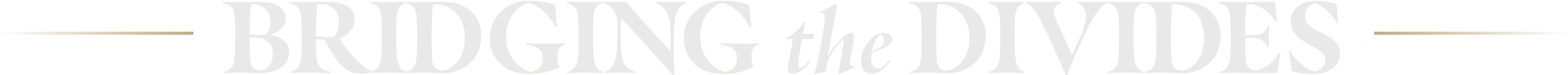 Bridging the Divides typography