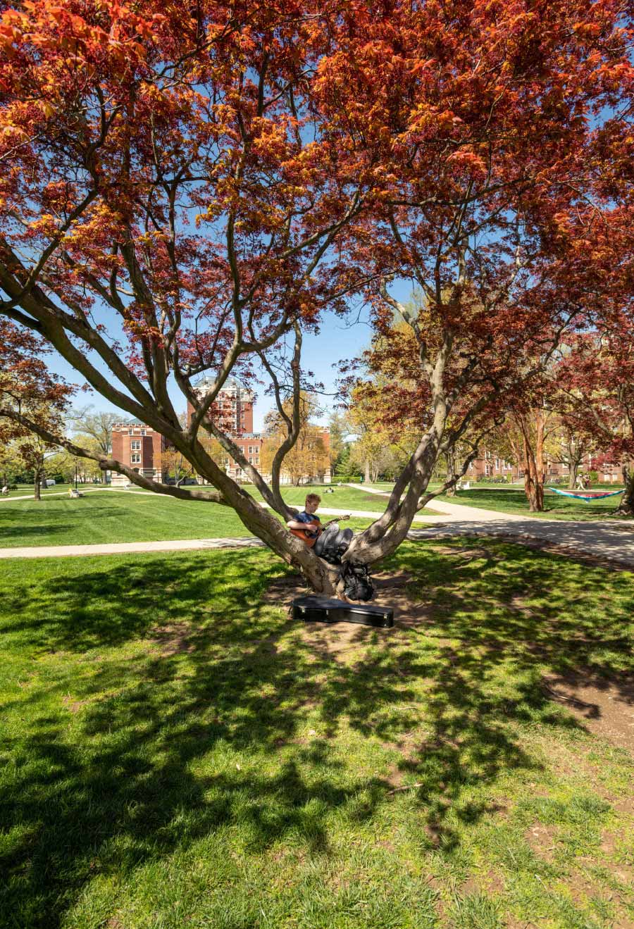 A student sits in a hammock on the quad practicing guitar.