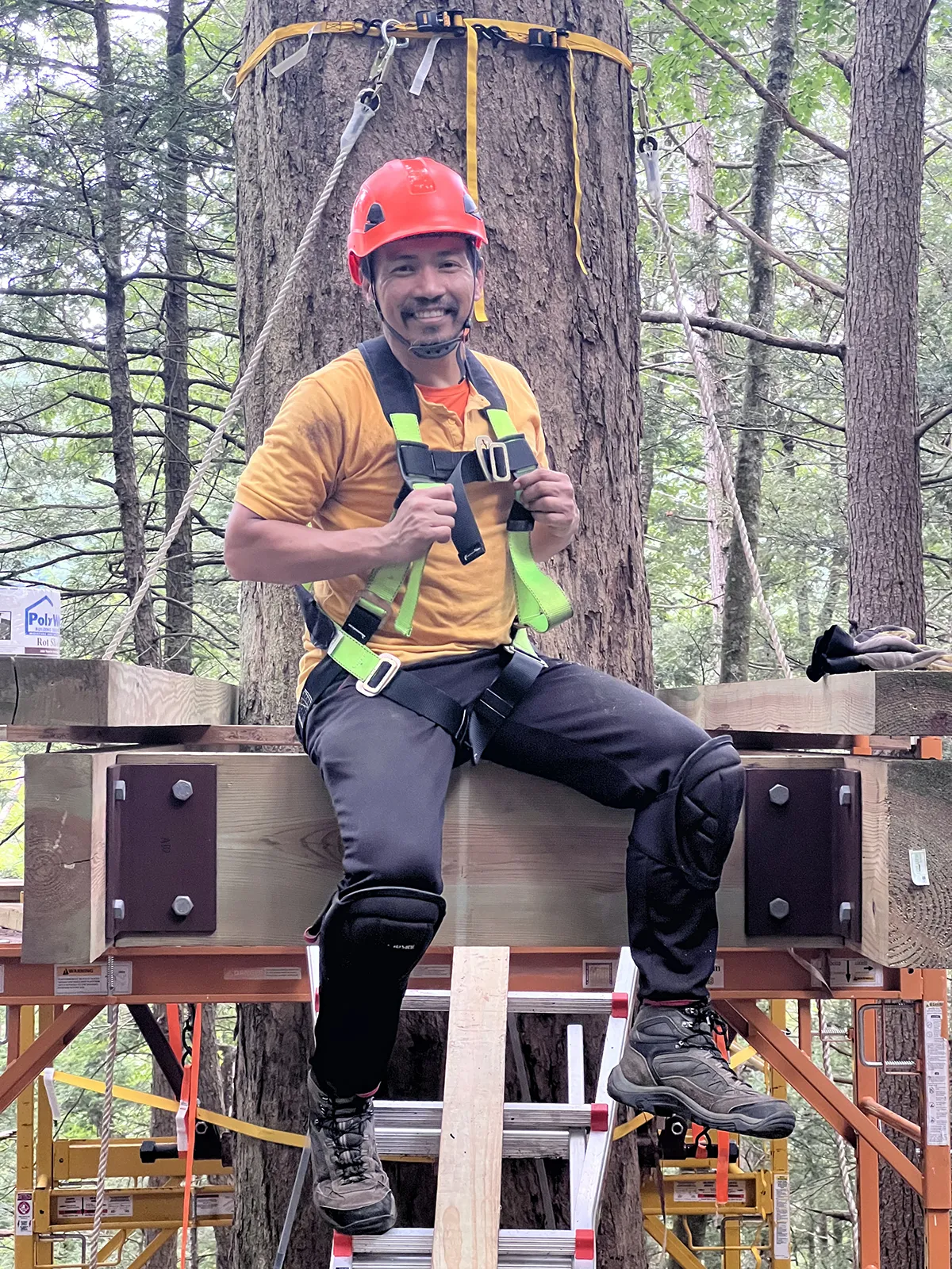 Alvin Puentevella ’20, in climbing gear and hooked up high in a tree.