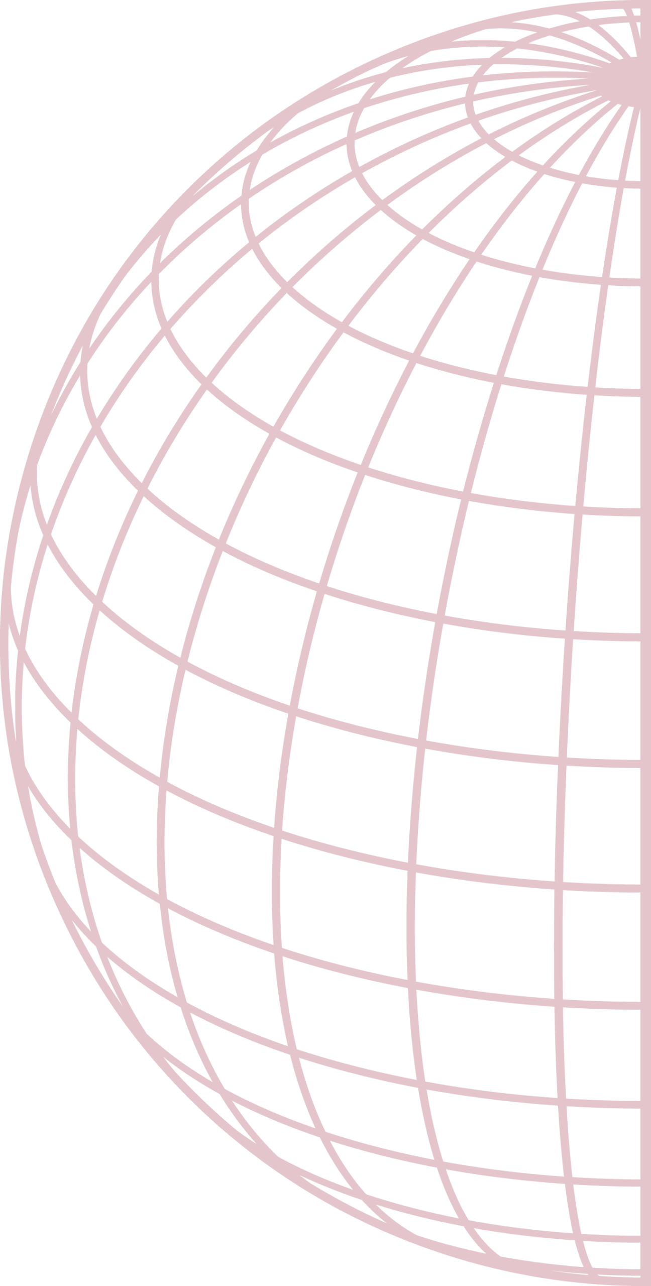 Maroon line illustration of the right half of a globe with curved latitude and longitude grid lines on a black background.