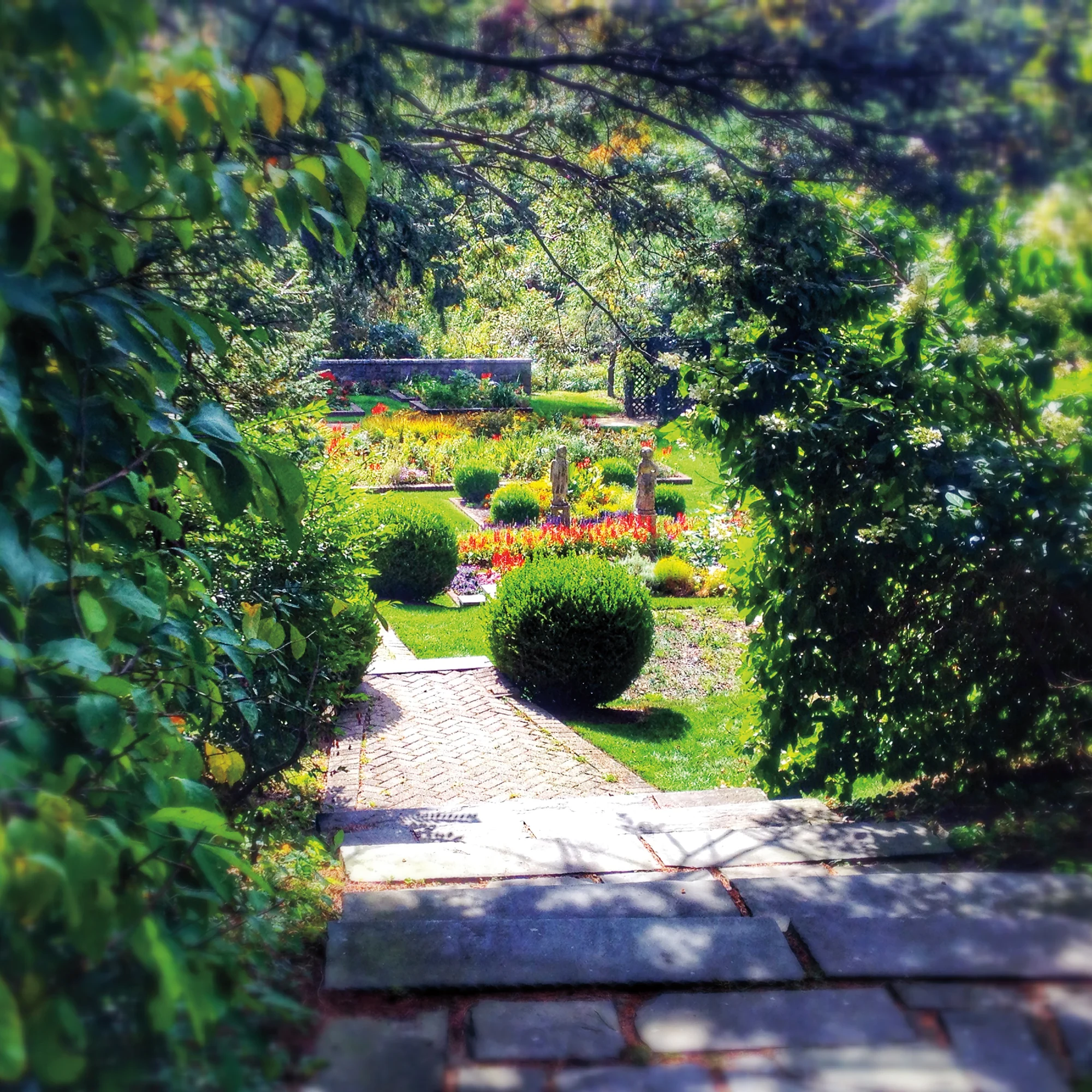 A garden with a variety of flowers and bushes.