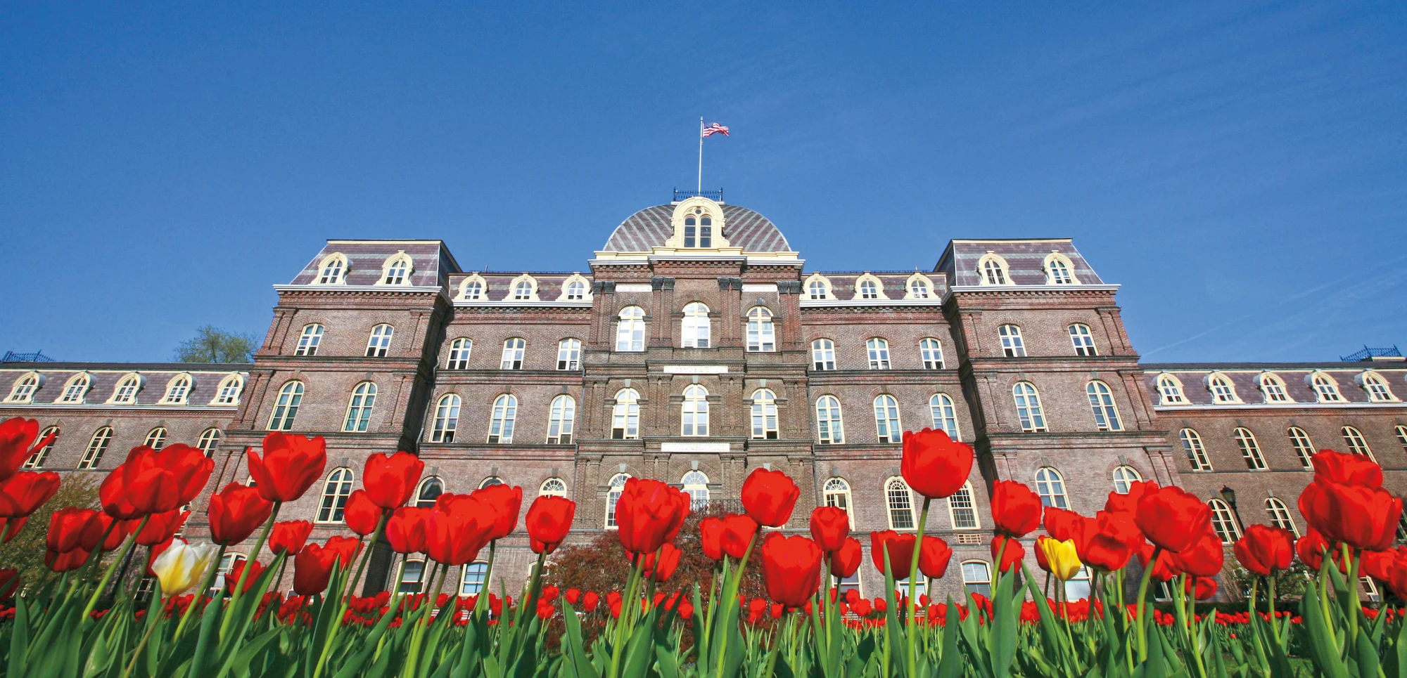 A large historic brick building with a dome and flag on top is seen behind a vibrant bed of red tulips under a clear blue sky.