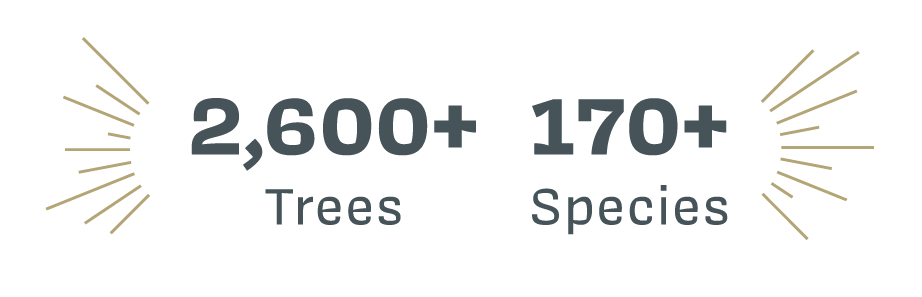 Vassar’s campus has more than 2,600 trees representing more than 170 species.